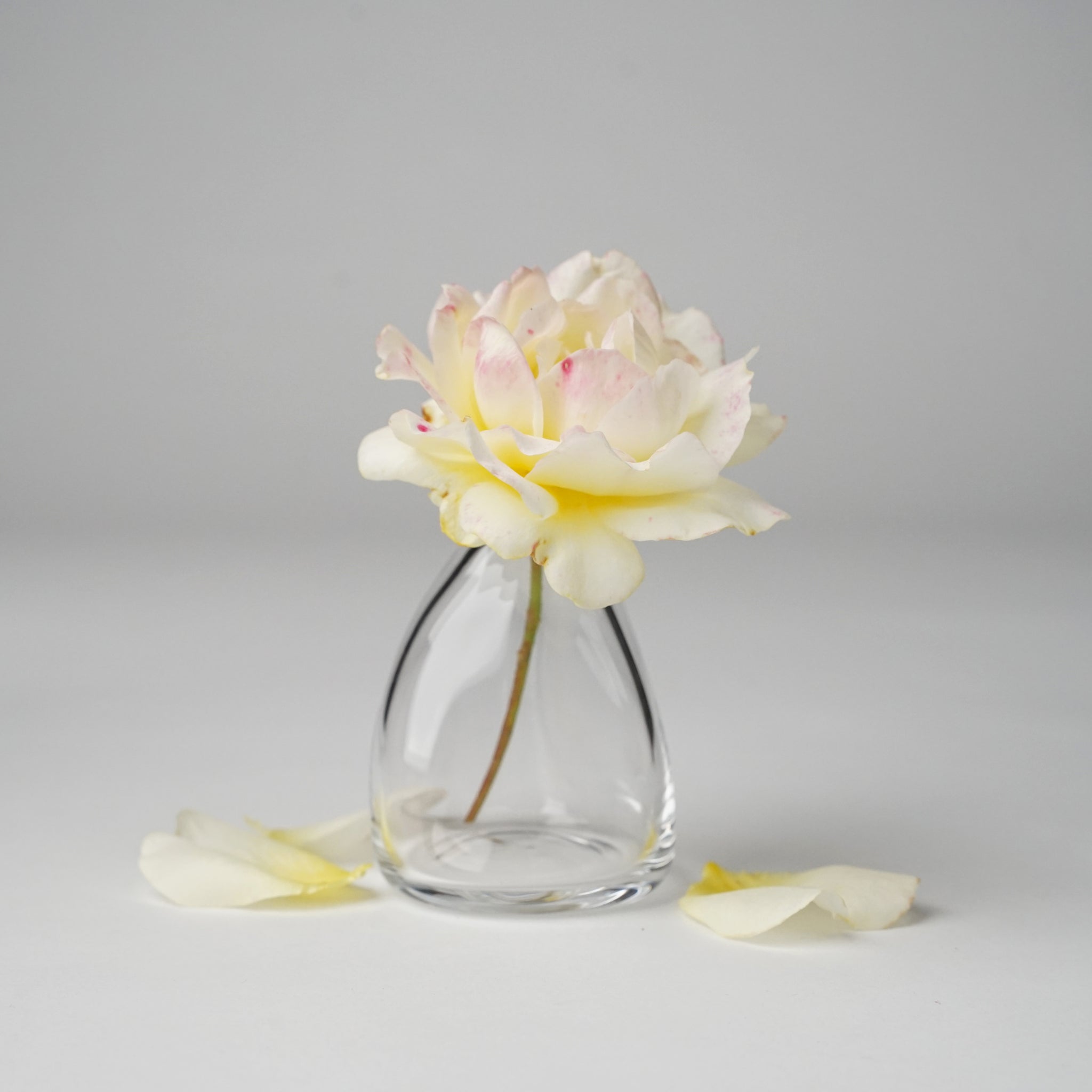 Handblown Cone Shape Mini Vase