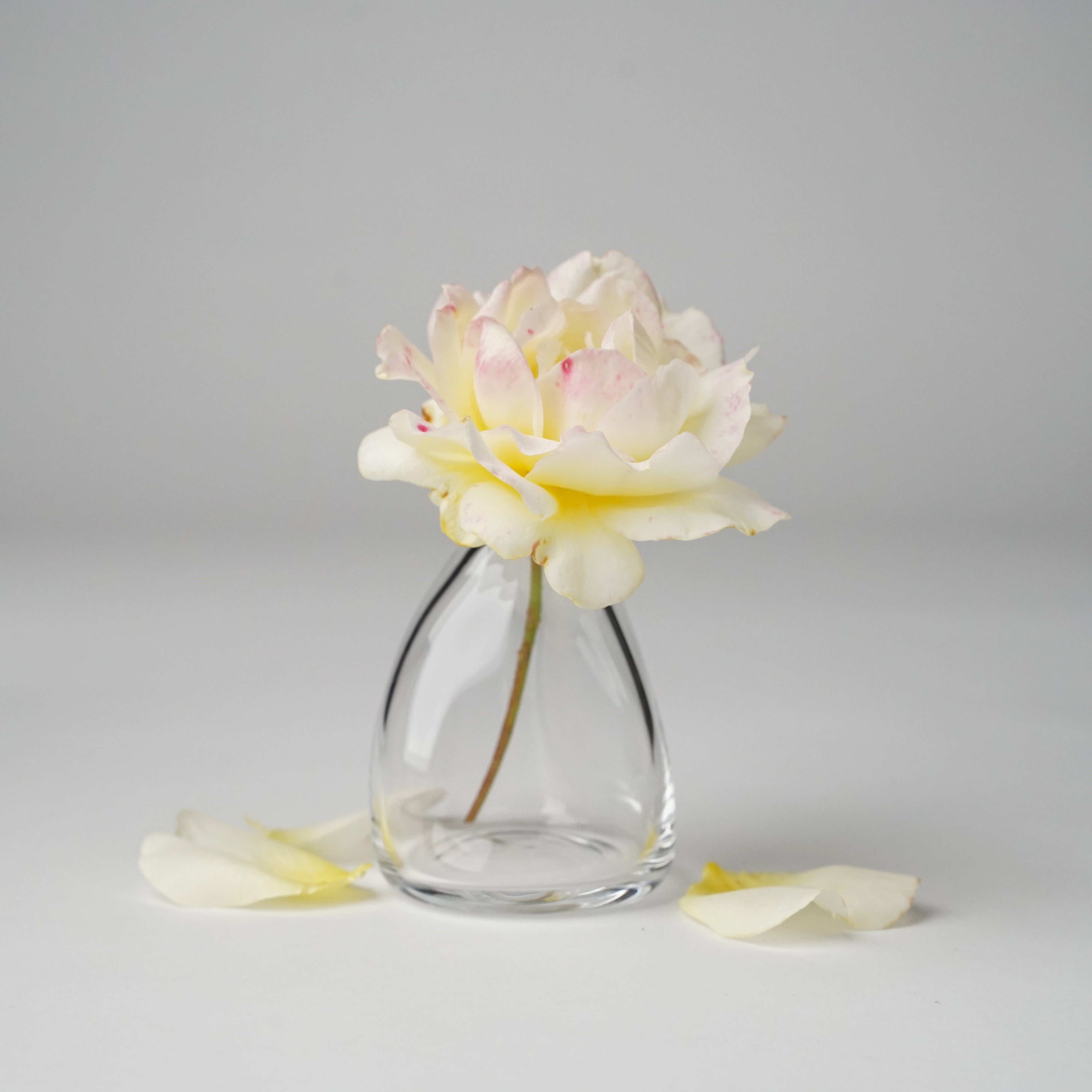 Handblown Cone Shape Mini Vase