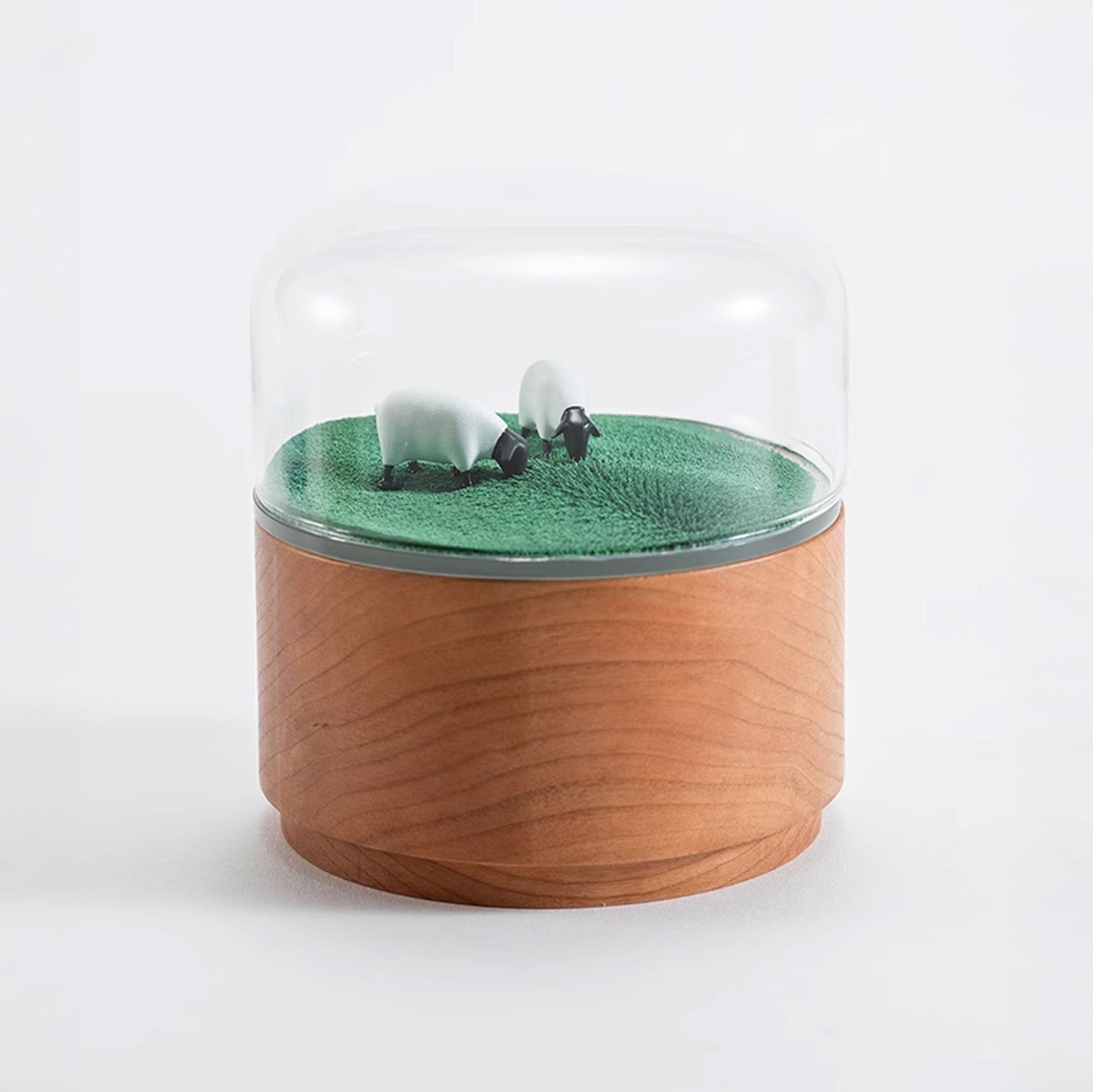 Magnetic Music Box (Meadow)
